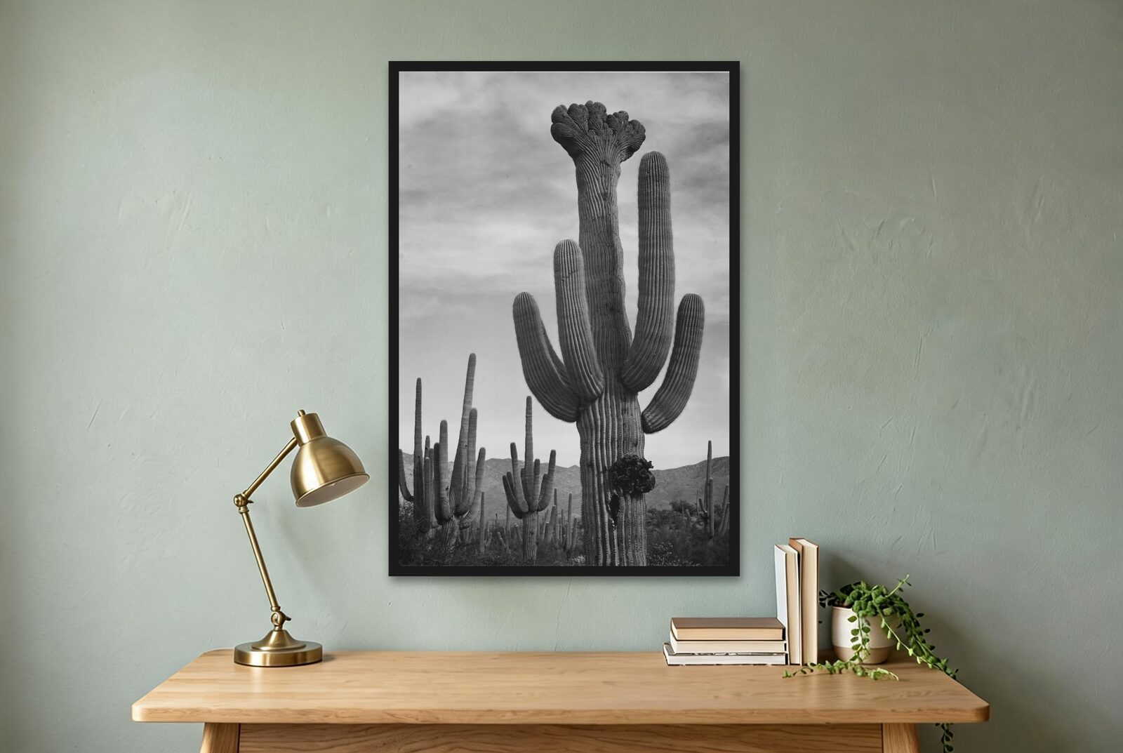 Saguaros