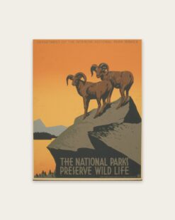 The National Parks Preserve Wild Life