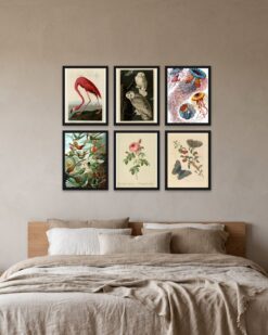 The Naturalist Gallery Wall Set of 6
