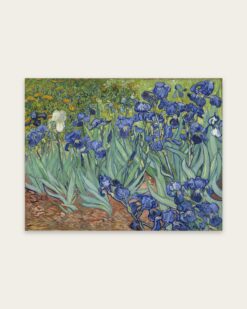 Vincent van Gogh – Irises