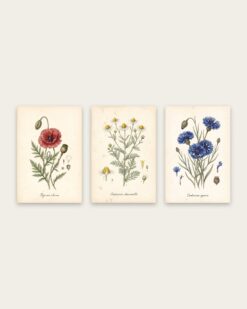 Wild Flowers Set of 3