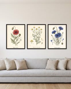 Wild Flowers Set of 3