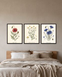 Wild Flowers Set of 3